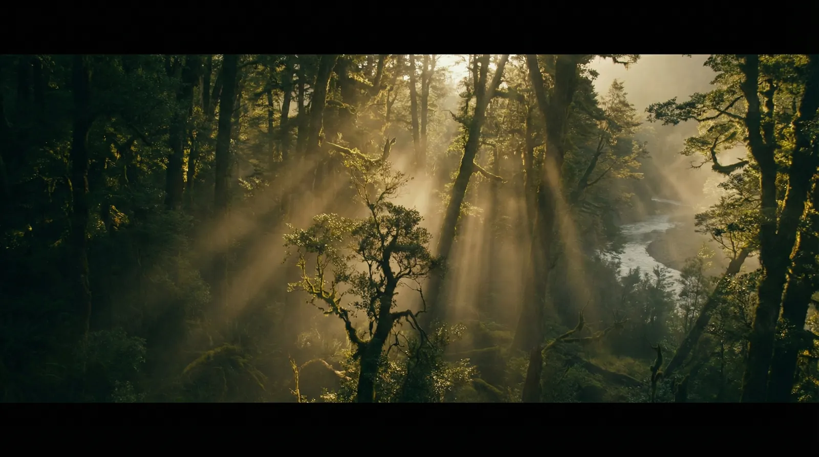 bti体育官网 自然纪录片风格调色案例